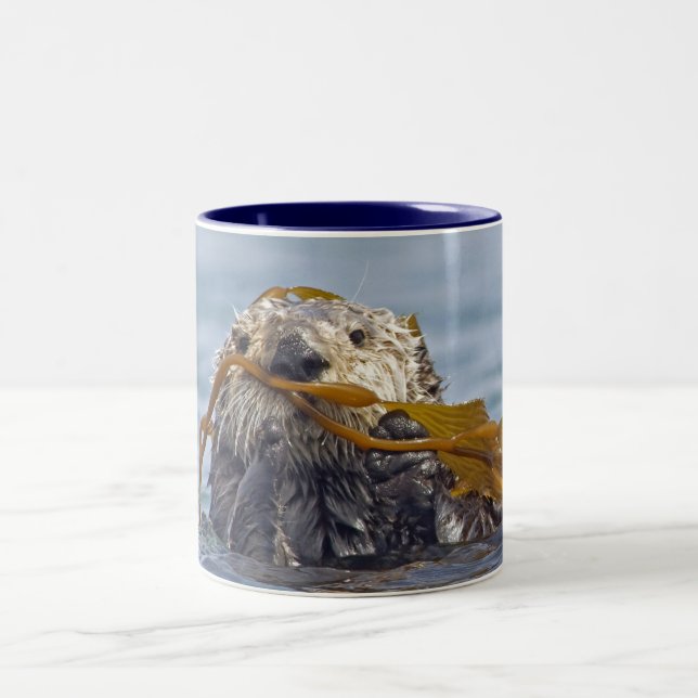 Taza de la nutria de mar de California (Centro)