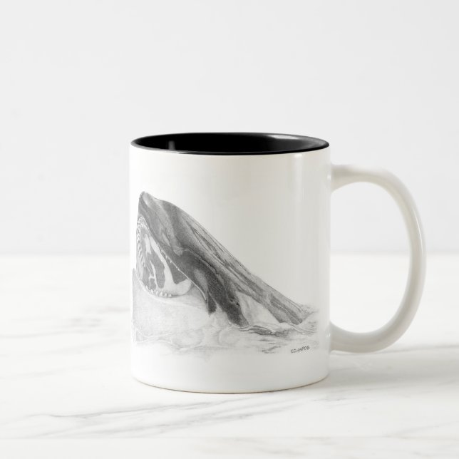 Taza de la orca del Dos-Tono dos (Derecha)