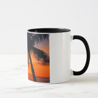 taza de la puesta del sol