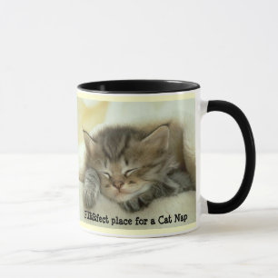 Taza de la siesta del gato