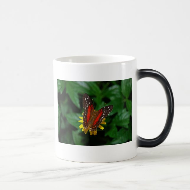 Taza de la temperatura de la mariposa (Derecha)