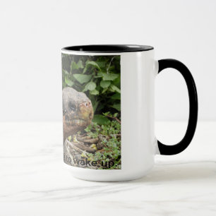 Taza de la tortuga de las Islas Galápagos