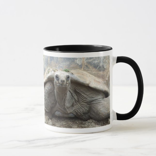 Taza de la tortuga de las Islas Galápagos (Derecha)