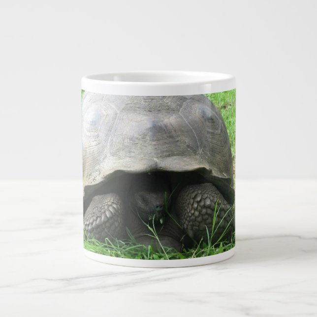 Taza de la tortuga gigante (Frente)