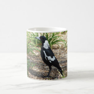 Taza de la urraca australiana