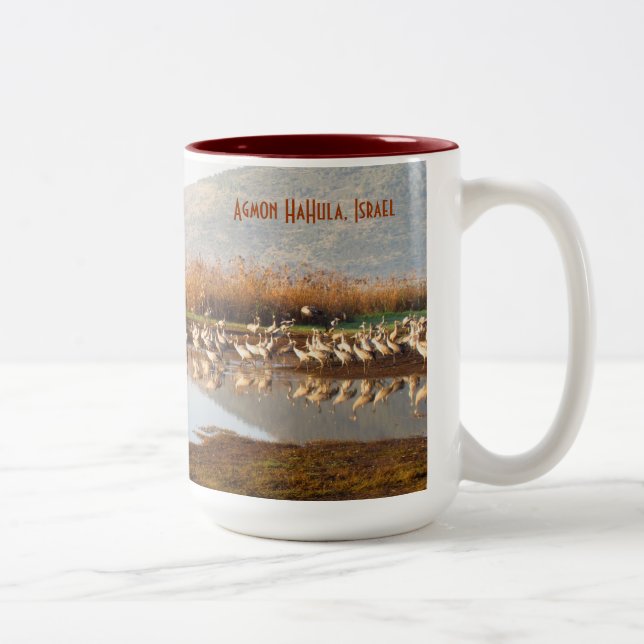 Taza de las aves migratorias (Derecha)
