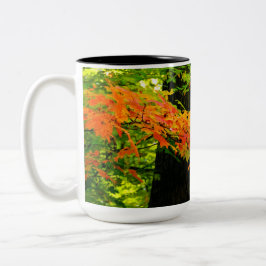 Taza de las hojas de otoño