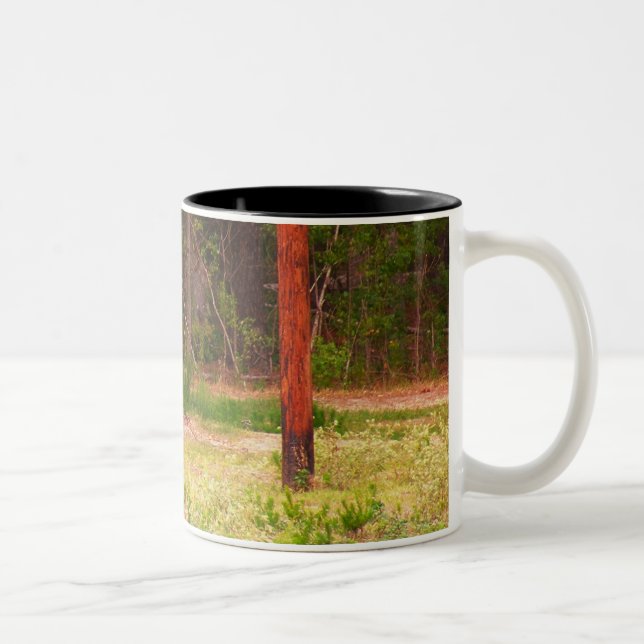 Taza de los ciervos de AXIS (Derecha)