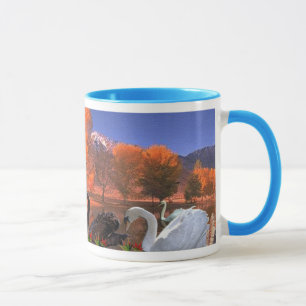 Taza de los cisnes