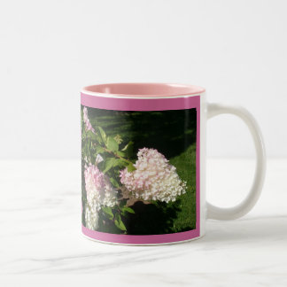 Taza de los flores del Hydrangea de la PÁGINA