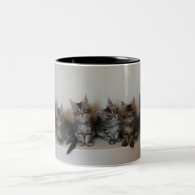 Taza de los gatitos del Coon de Maine (Centro)