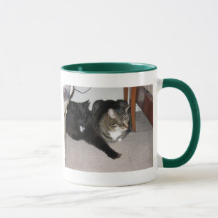 taza de los gatos