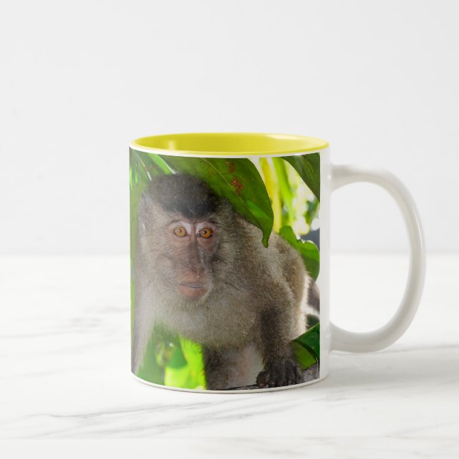 Taza de los monos de Macaque (Derecha)