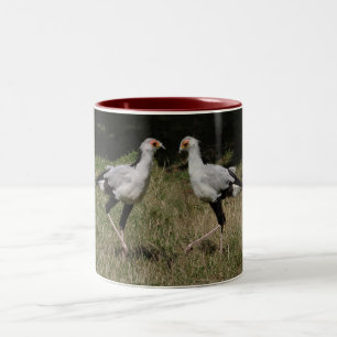 Taza de los pájaros de secretaria del baile