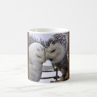 Taza de los pájaros del amor de los búhos Nevado