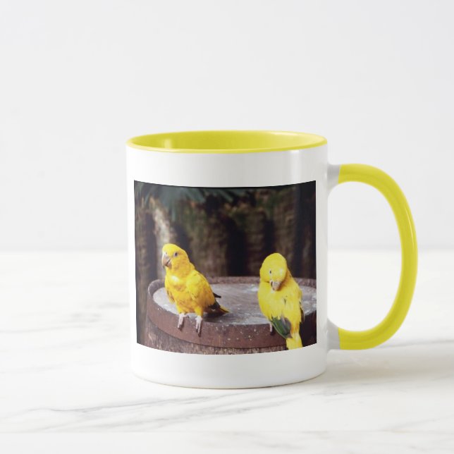 taza de los parakeets (Derecha)