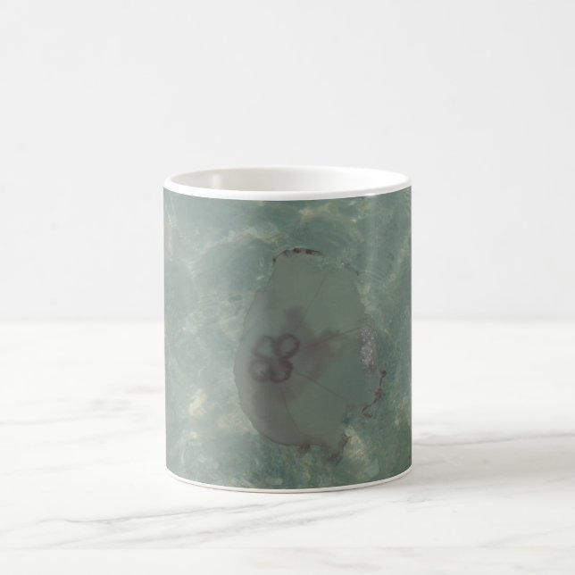 Taza de los pescados de jalea (Centro)