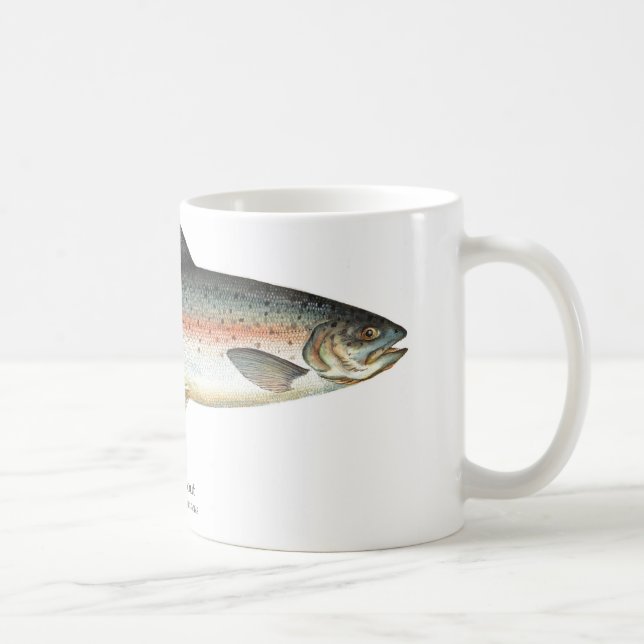Taza de los pescados de la trucha arco iris (Derecha)