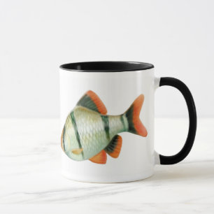 Taza de los pescados del acuario de Barb del tigre