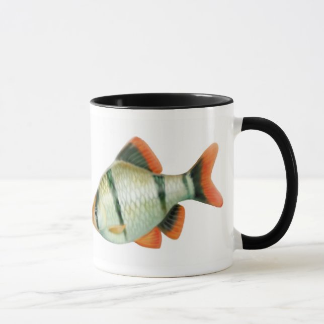 Taza de los pescados del acuario de Barb del tigre (Derecha)