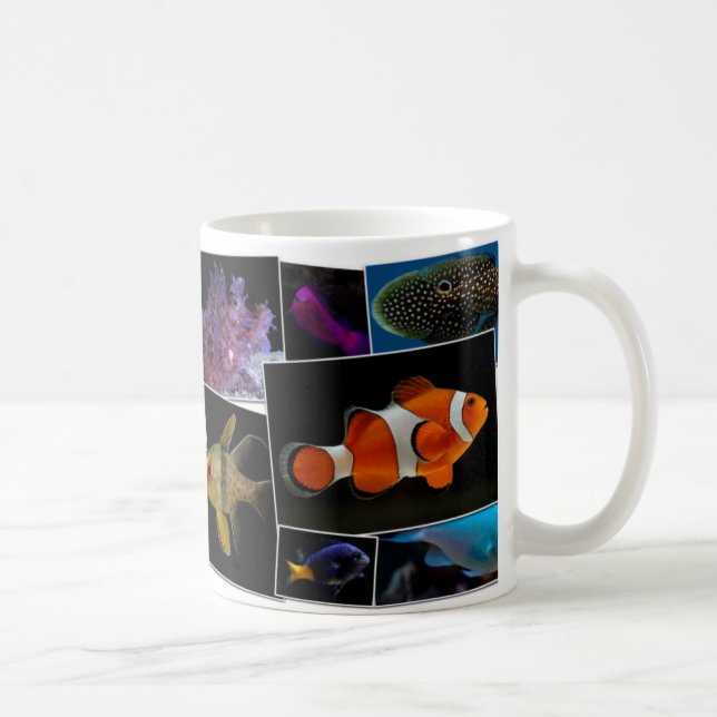 Taza de los pescados del acuario del agua salada - (Derecha)