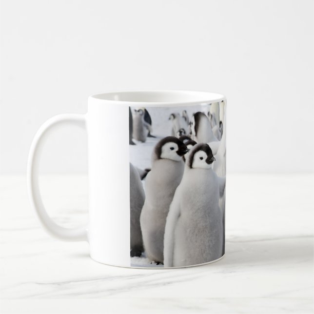 Taza de los polluelos del pingüino de emperador (Izquierda)