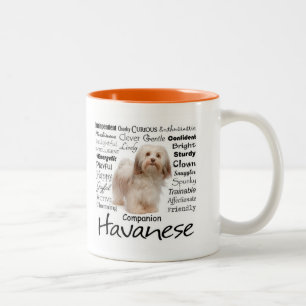 Taza de los rasgos de Havanese