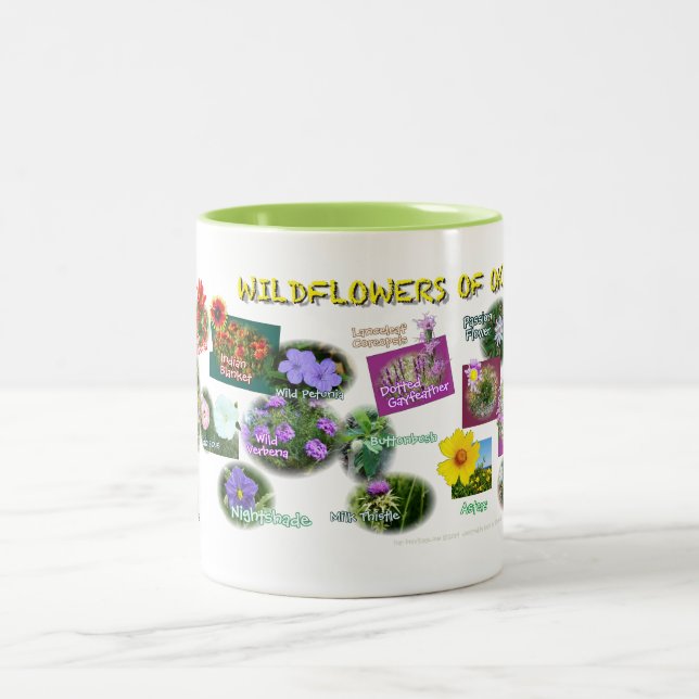 taza de los Wildflowers de hv19 Oklahoma (Centro)