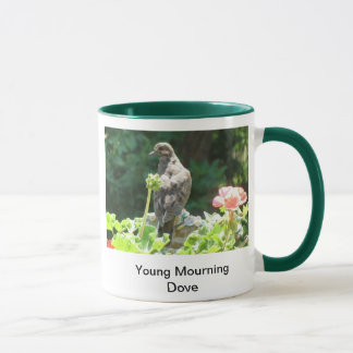 Taza de luto joven de la paloma