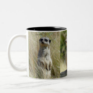 Taza de Meerkat