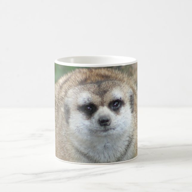 Taza de Meerkat (Centro)