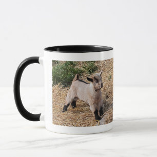 Taza de niño lindo