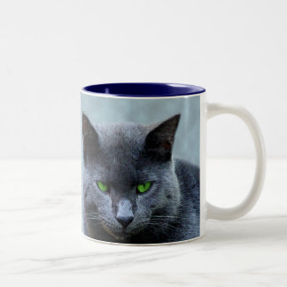 Taza de ojos verdes del gato