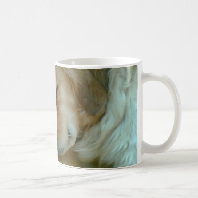 Taza de oro (Derecha)