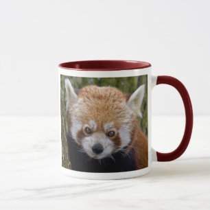 Taza de Panda Rojo