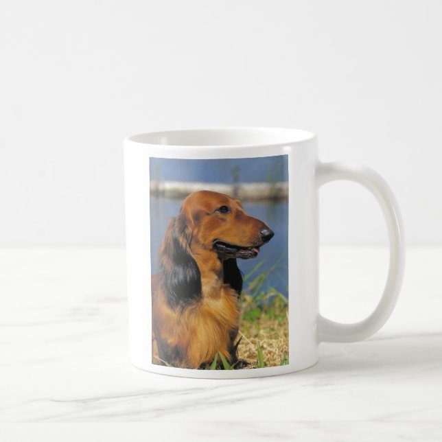 taza de pelo largo roja del dachshund (Derecha)