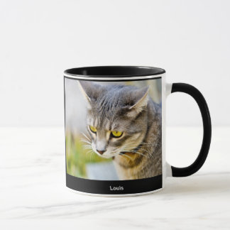 Taza de Pepin y de Louis