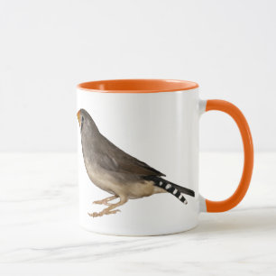 Taza de Pinzón Ceja Negra