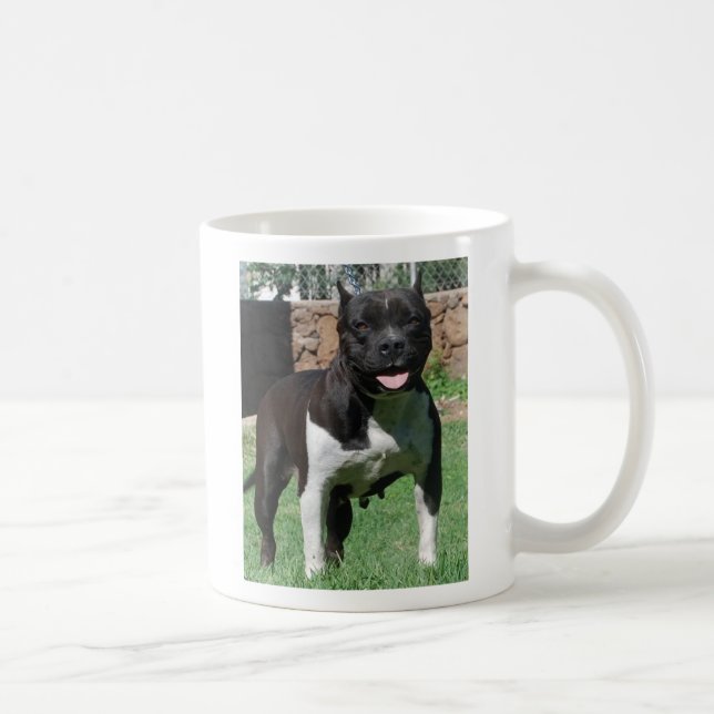 Taza de Pitbull (Derecha)