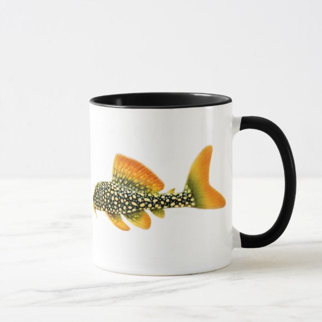 Taza de Pleco de la sol de Goldy (Derecha)