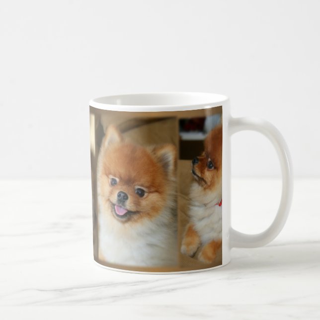 Taza de Pomeranian (Derecha)