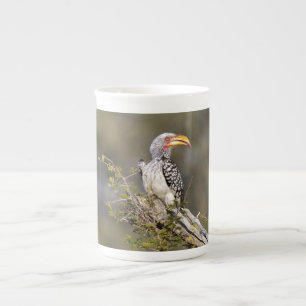 Taza De Porcelana Anguila almenada