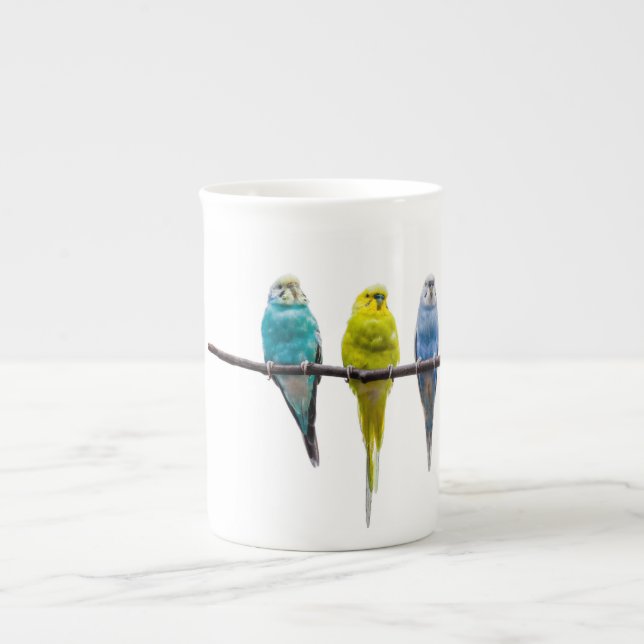 Taza De Porcelana Budgies (Frente)