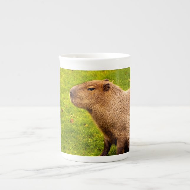 Taza De Porcelana Capibara (Frente)