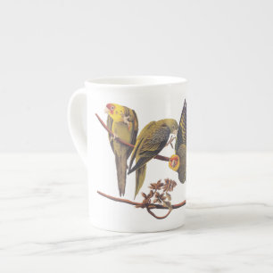 Taza De Porcelana Carolina Parakeet Trio
