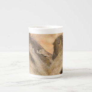 Taza De Porcelana Cebollos