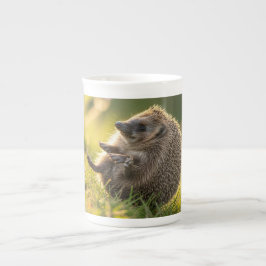Taza De Porcelana Hedghog Mug