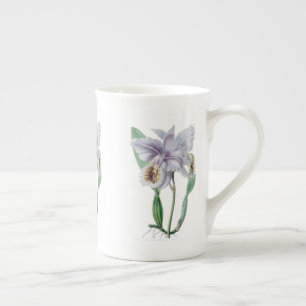 Taza De Porcelana Hueso botánico chino de la orquídea Cattleya