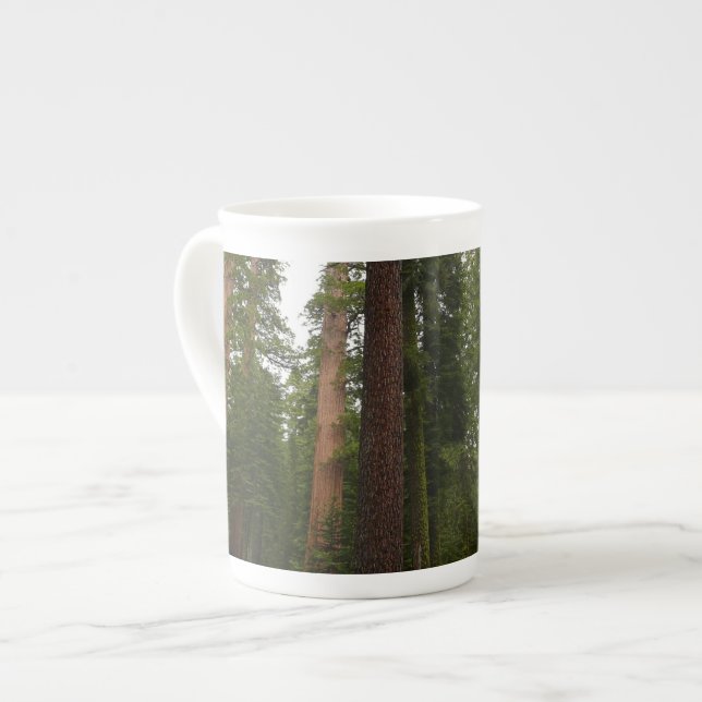 Taza De Porcelana Mariposa Grove en el Parque Nacional Yosemite (Izquierda)