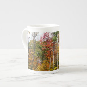 Taza De Porcelana Otoño en el bosque Fotografía colorida de otoño